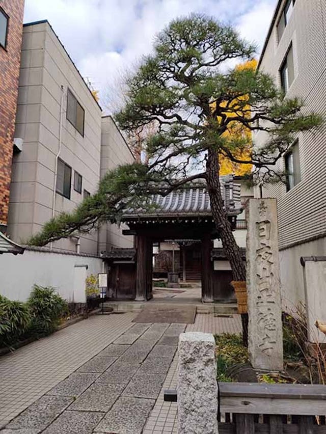 品川永代供養樹木葬「欅（けやき）の杜」