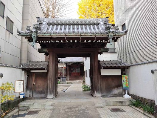 品川永代供養樹木葬「欅(けやき)の杜」