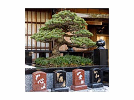 品川永代供養樹木葬「欅(けやき)の杜」