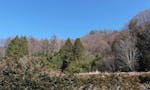 長福寺霊園 霊園の北側は山になっています
