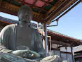 佐野大仏観音寺 永代供養樹木葬墓苑
