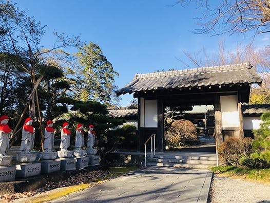 龍泉寺 のうこつぼ