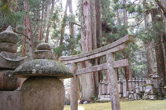 高野山奥の院永代供養「禅定への道」