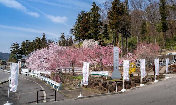 さなださくら樹木葬霊園