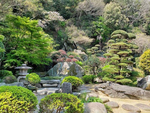 善学寺 のうこつぼ