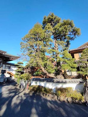 樹木葬「月庭~つきのにわ~」