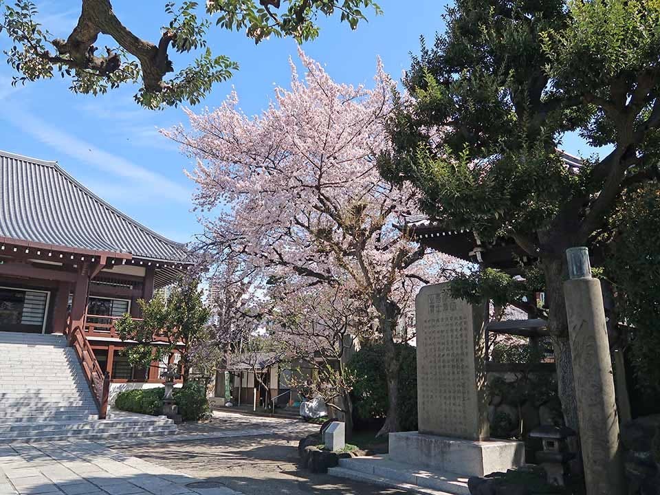 谷中樹木葬「円庭の陽」・永代供養付き墓所