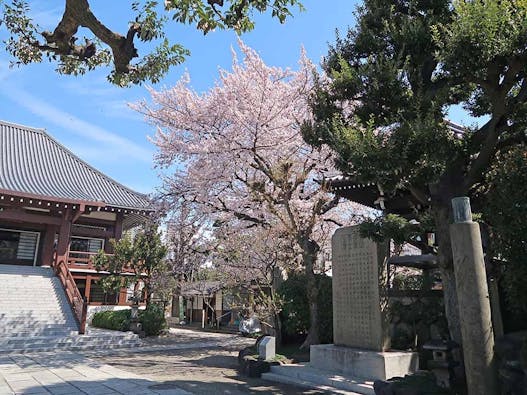 谷中樹木葬「円庭の陽」・永代供養付き墓所