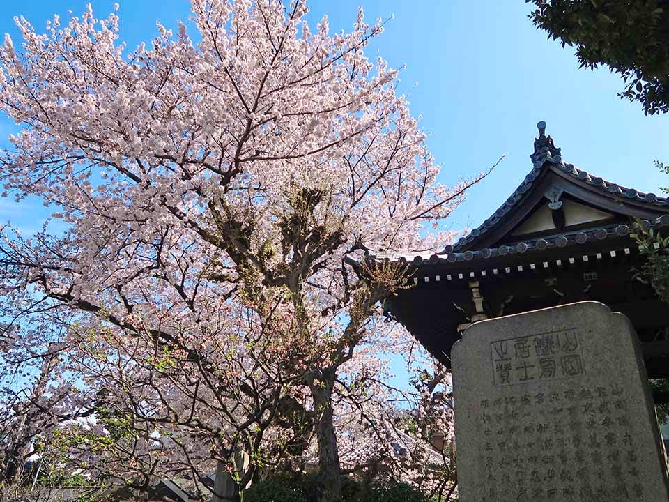 谷中樹木葬「円庭の陽」・永代供養付き墓所