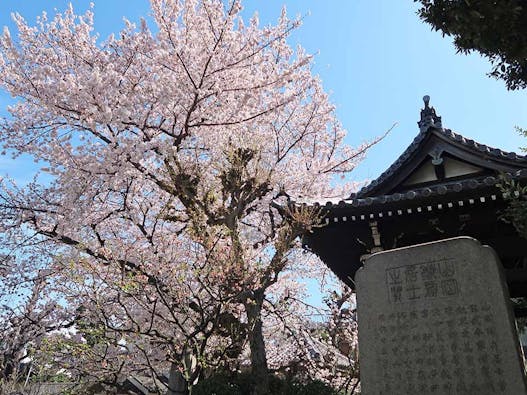 谷中樹木葬「円庭の陽」・永代供養付き墓所