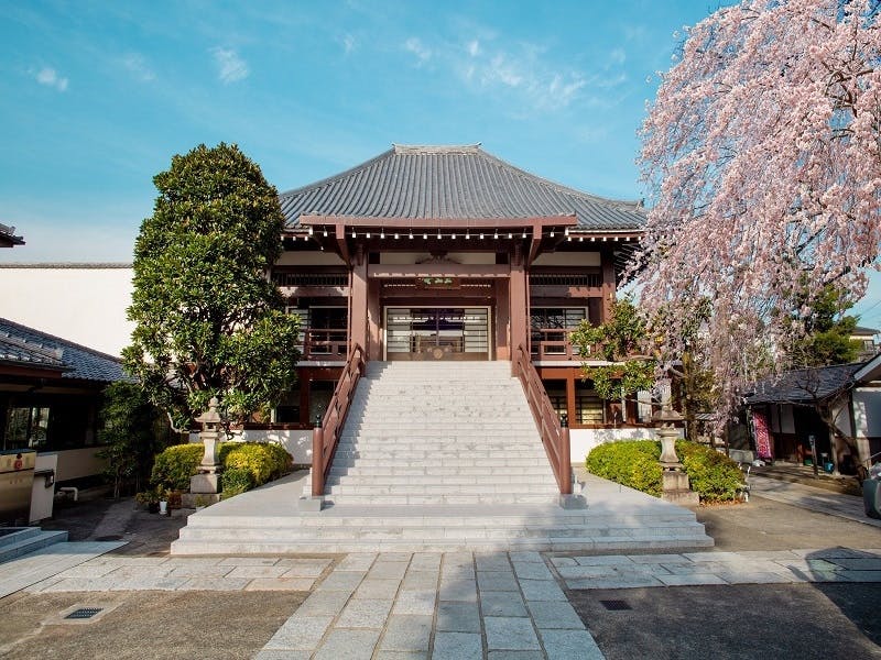 谷中樹木葬「円庭の陽」・永代供養付き墓所