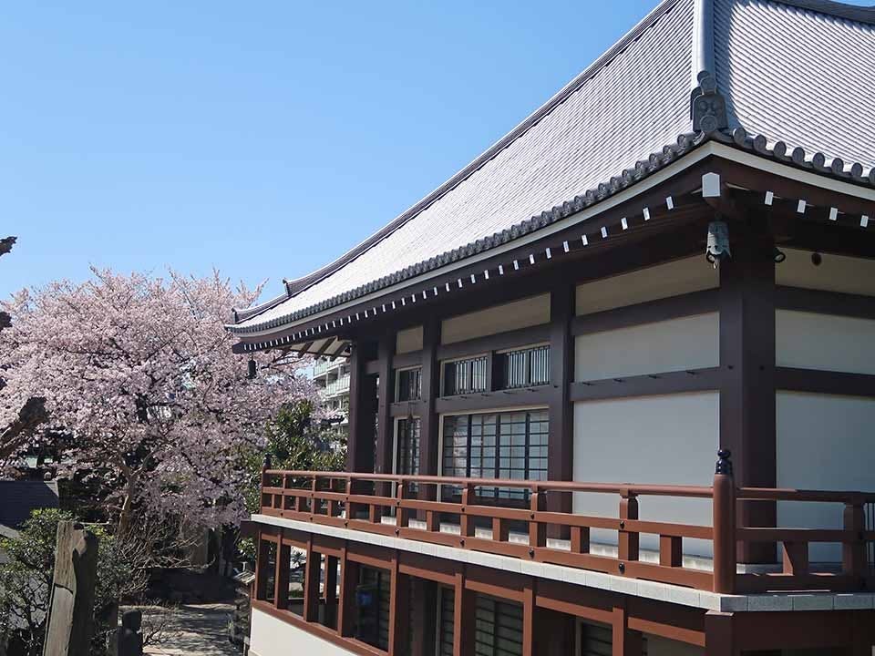 谷中樹木葬「円庭の陽」・永代供養付き墓所