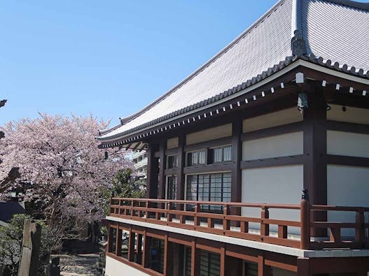 谷中樹木葬「円庭の陽」・永代供養付き墓所