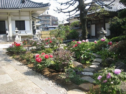 世田谷駅前 円光院