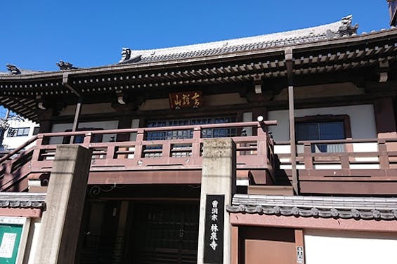 林泉寺「庭園墓」