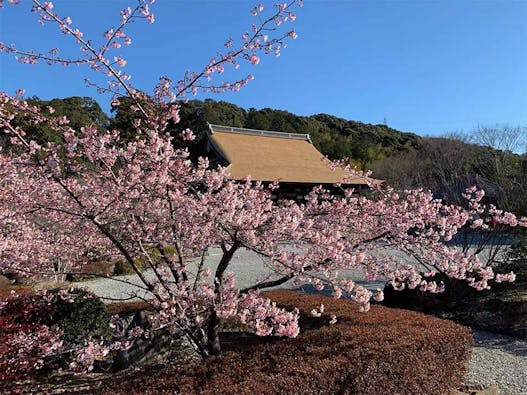 宝林寺 永代納骨供養墓