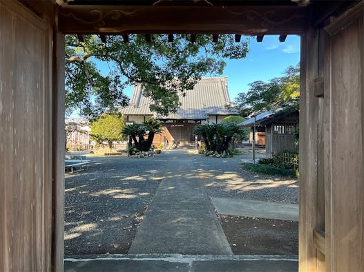 祥雲寺 のうこつぼ