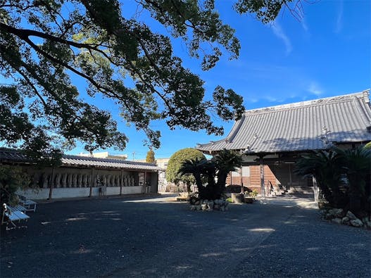 祥雲寺 のうこつぼ