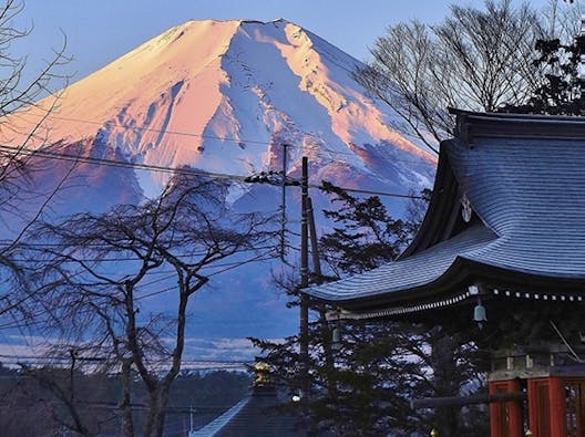 忍野富士樹木葬