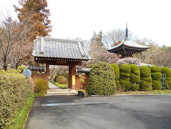 泉蔵院・永代供養墓