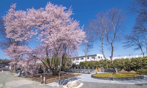 仁叟寺 「大樹苑」 永代供養墓・樹木葬