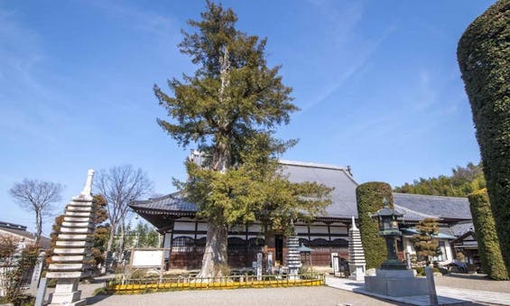 仁叟寺 「大樹苑」 永代供養墓・樹木葬