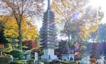 仁叟寺 「大樹苑」 永代供養墓・樹木葬 日本一の大きさの十三重石宝塔