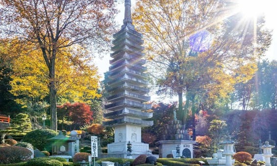 仁叟寺 「大樹苑」 永代供養墓・樹木葬