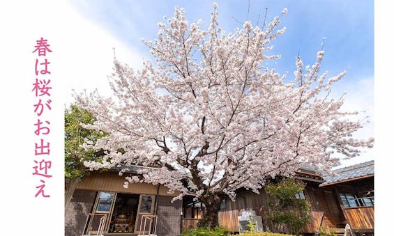 かやづ庭苑・實成寺樹木葬