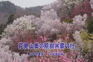 花見山奥の院樹木葬