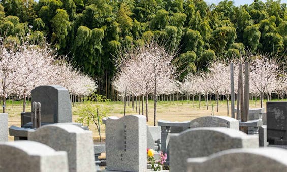 西の杜 「ブルームガーデン」