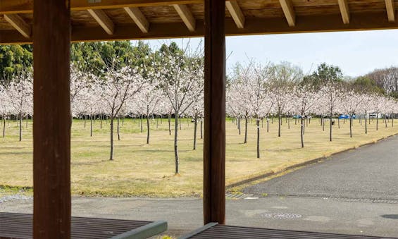 西の杜 「ブルームガーデン」