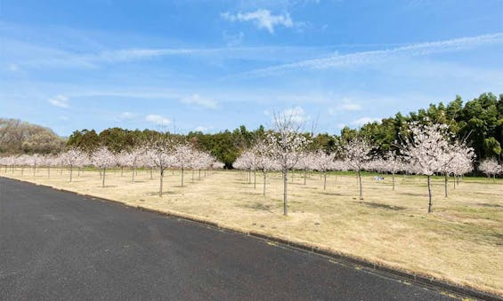 西の杜 「ブルームガーデン」