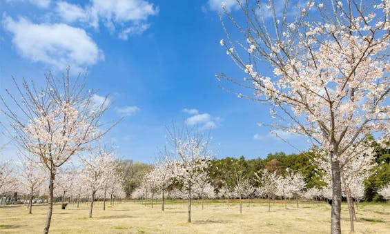 西の杜 「ブルームガーデン」