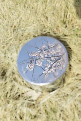 西の杜 「ブルームガーデン」