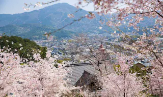 総本山 妙満寺 仏舎利大塔