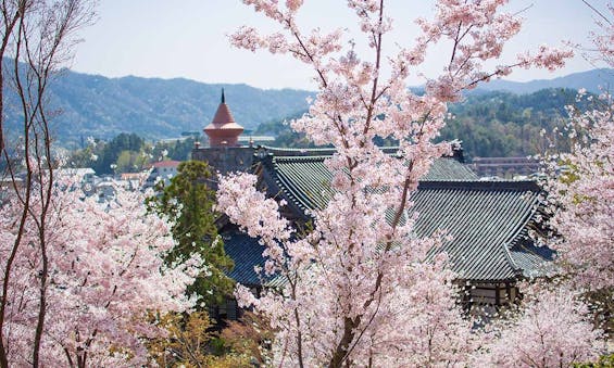 総本山 妙満寺 仏舎利大塔