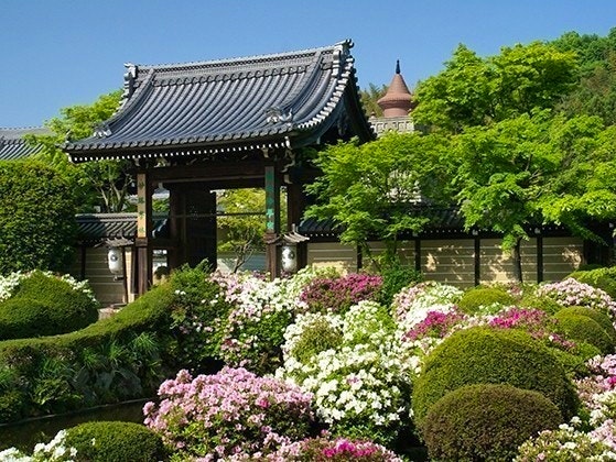 総本山 妙満寺 仏舎利大塔