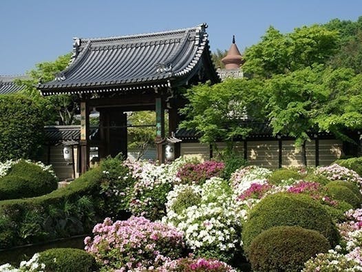 総本山 妙満寺 仏舎利大塔