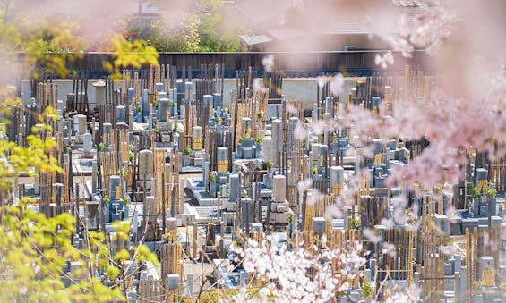 総本山 妙満寺 仏舎利大塔