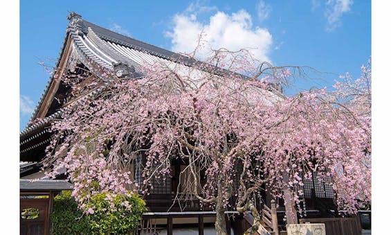 総本山 妙満寺 仏舎利大塔