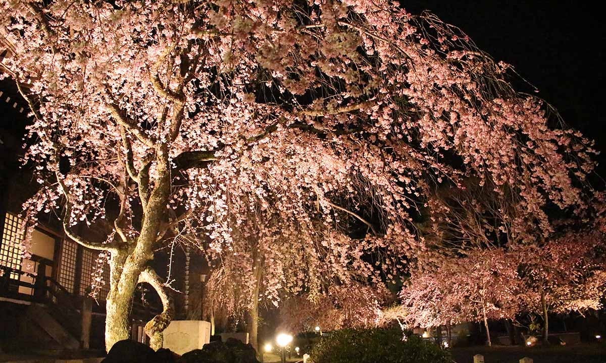総本山 妙満寺 仏舎利大塔