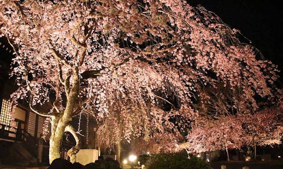 総本山 妙満寺 仏舎利大塔