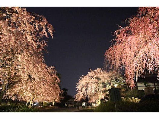 総本山 妙満寺 仏舎利大塔