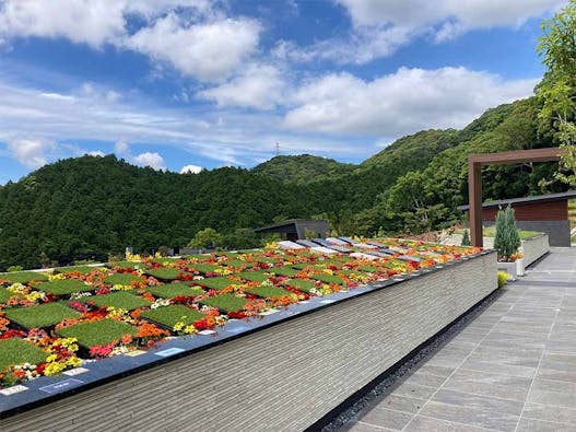 新宮霊園 樹木葬