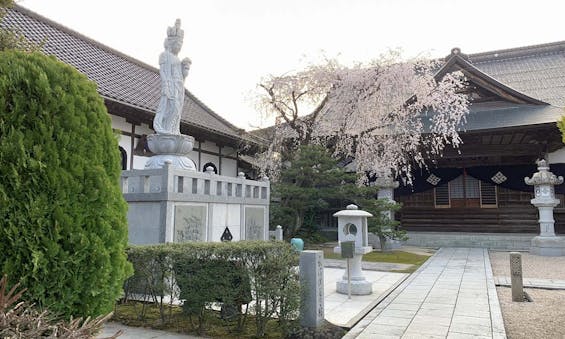 メモリアルガーデン洞光寺（樹木葬・永代供養墓）