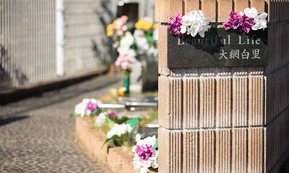 Beautiful Life 大網白里