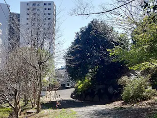 貞昌院駅前墓地