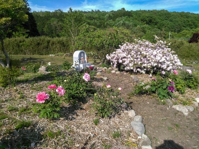 ぬくもりの里「桃源郷」