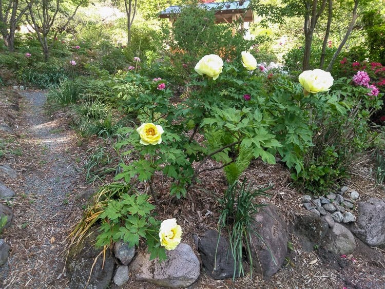 ぬくもりの里「桃源郷」